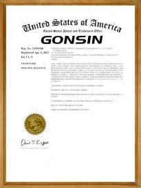 Gonsin
