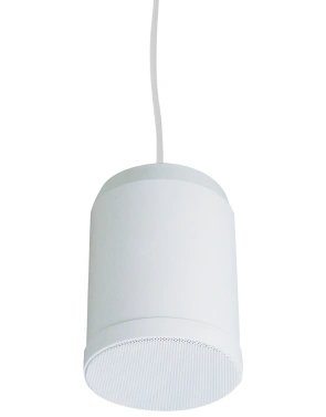 Hanging Speaker GX-SP410D