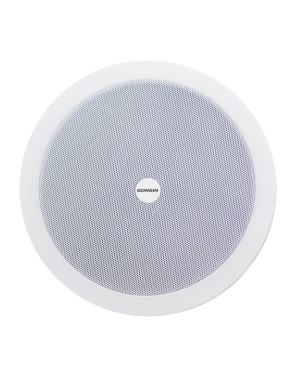 Network Broadcasting Ceiling Speaker