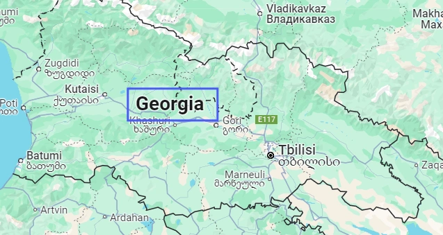 GONSIN Enhanced International Cooperation Conferences Across Different Fields in Georgia